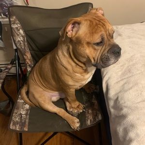 Meet your Posher, Casey